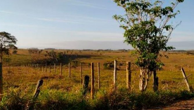 Foto - Terreno - Ibirapuã-BA - Sítio Sagrada Família - Planalto - [2]