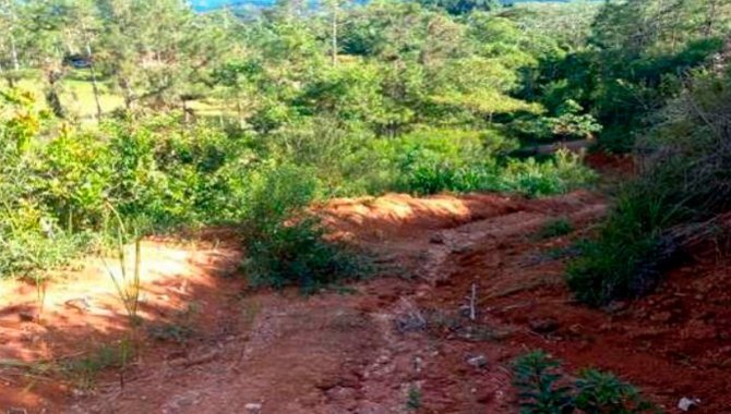 Foto - Direitos sobre Imóvel Rural 142.785 m² (Sítio Recanto dos Pinheirais) - Itariri - SP - [22]