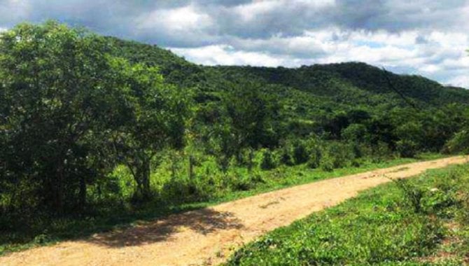 Foto - Fazenda Serra Negra 1.436 ha - Bodoquena - MS - [4]