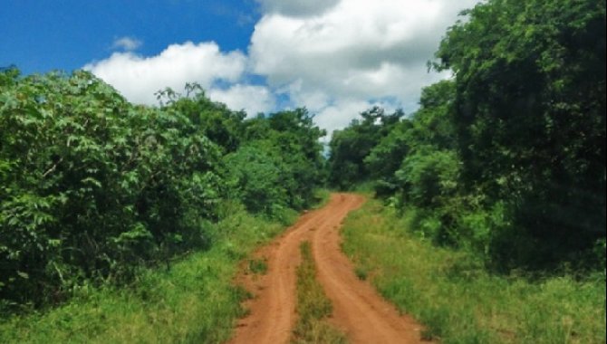 Foto - Gleba de Terras 117,37 ha - Ubiratã - PR - [1]