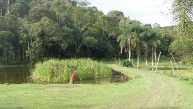 Foto - Imóvel Rural 348.451 m² - Cocuera - Mogi das Cruzes - SP - [1]