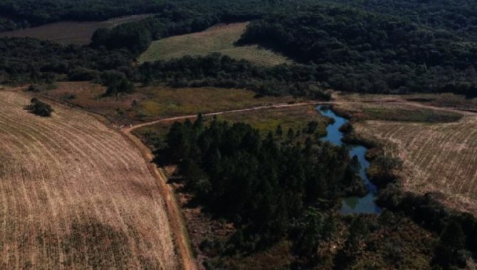 Foto - Área de 81 ha - Fazenda Santa Clara - Ribeirão Grande - SP - [5]