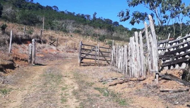 Foto - Área de 81 ha - Fazenda Santa Clara - Ribeirão Grande - SP - [2]