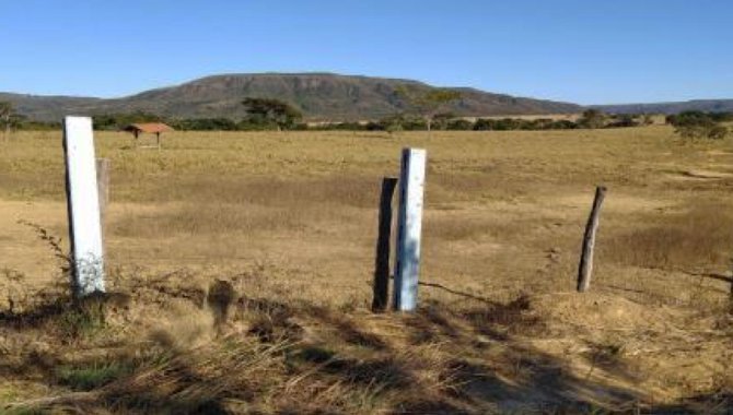 Foto - Área Rural - Buritis-MG - Fazenda São Domingos - Pinduca - [1]