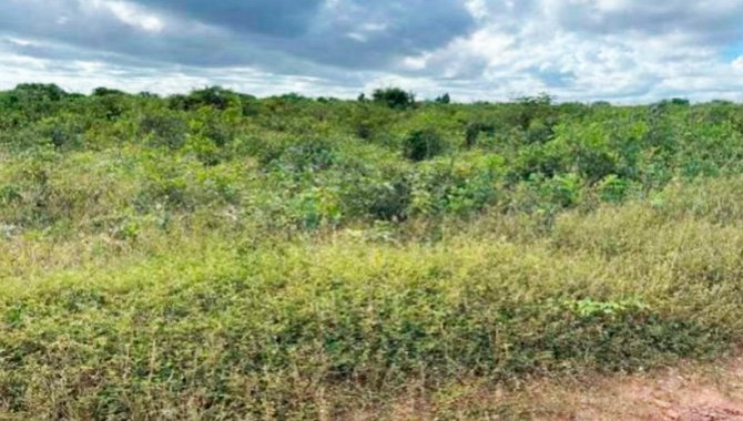 Foto - Terreno - Chapadinha-MA - Rua Boa Vista, 52 - Areal - [2]