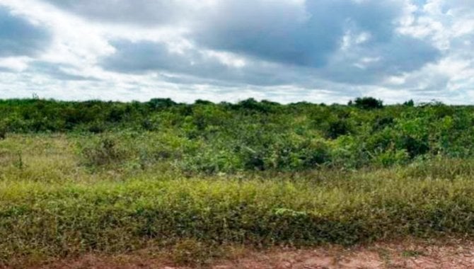 Foto - Terreno - Chapadinha-MA - Rua Boa Vista, 52 - Areal - [1]