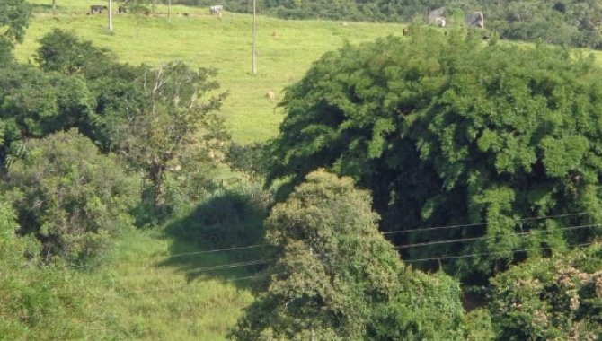 Foto - Imóvel Rural  27,240 ha - Formiga - MG - [4]