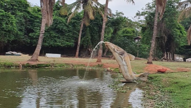 Foto - Espaço para Eventos "Tropical Park" 43.772 m² - Catanduva - SP - [24]