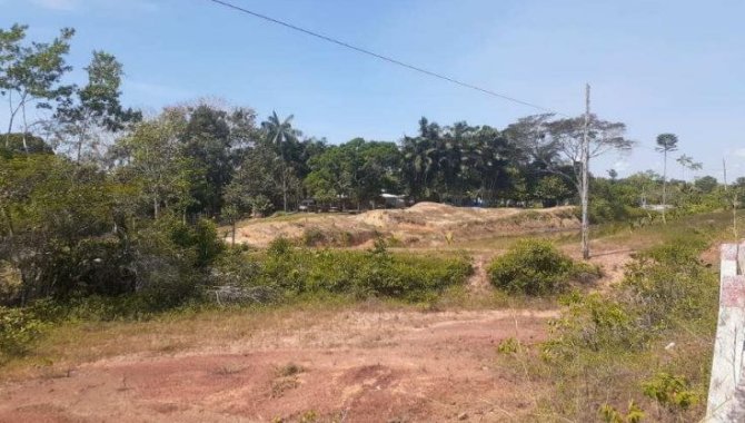 Foto - Área de 859.000 m² - Rural - Careiro - AM - [2]