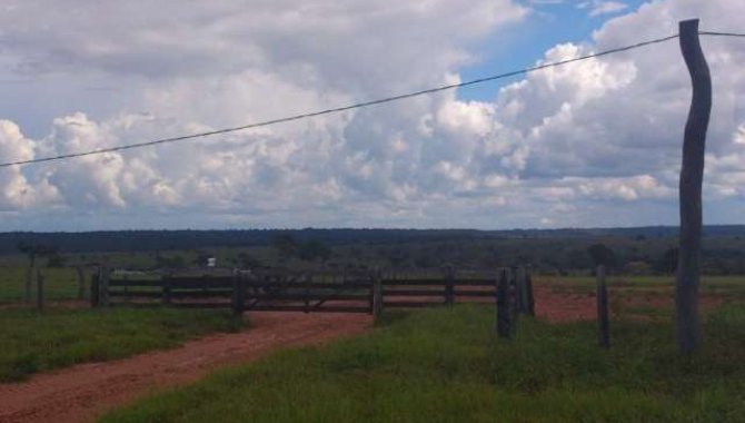 Foto - Fazenda Torlim 4.826 ha - Novo São Joaquim - MT - [4]