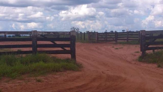 Foto - Fazenda Torlim 4.826 ha - Novo São Joaquim - MT - [8]