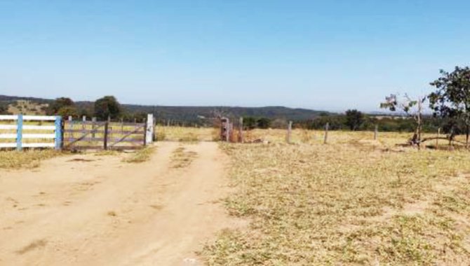 Foto - Imóvel Rural 193 ha - Fazenda Pedra Branca - Indiara - GO - [6]