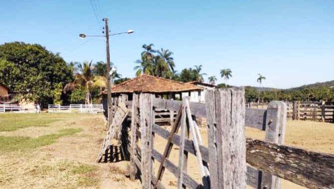 Foto - Imóvel Rural 193 ha - Fazenda Pedra Branca - Indiara - GO - [7]