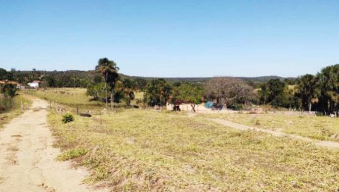 Foto - Imóvel Rural 193 ha - Fazenda Pedra Branca - Indiara - GO - [14]