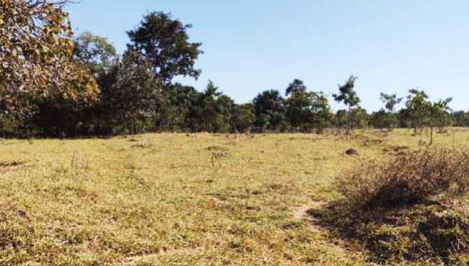 Foto - Imóvel Rural 193 ha - Fazenda Pedra Branca - Indiara - GO - [12]