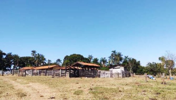 Foto - Imóvel Rural 193 ha - Fazenda Pedra Branca - Indiara - GO - [8]