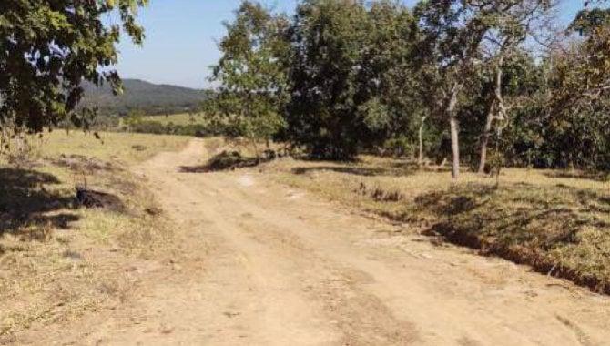 Foto - Imóvel Rural 193 ha - Fazenda Pedra Branca - Indiara - GO - [15]