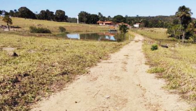 Foto - Imóvel Rural 193 ha - Fazenda Pedra Branca - Indiara - GO - [10]