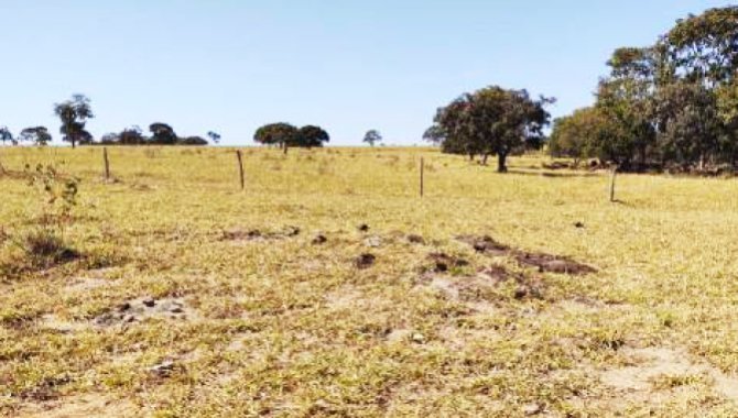 Foto - Imóvel Rural 193 ha - Fazenda Pedra Branca - Indiara - GO - [11]