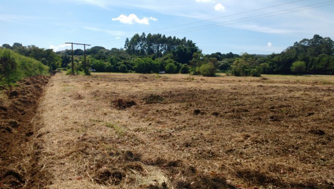 Foto - Gleba de Terras 23.400 m² - Ponte Alta - Jarinú - SP - [9]