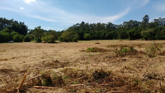 Foto - Gleba de Terras 23.400 m² - Ponte Alta - Jarinú - SP - [13]