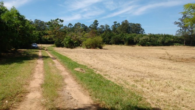 Foto - Gleba de Terras 23.400 m² - Ponte Alta - Jarinú - SP - [3]