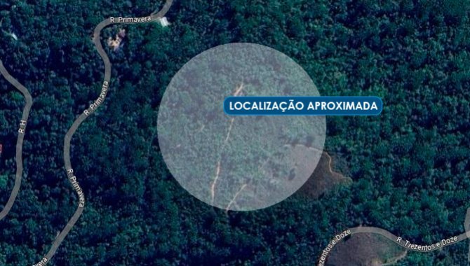 Foto - Área 1.250 m² (Lt 17, Qd 36) - Jaguaribe - Campos do Jordão - SP - [1]