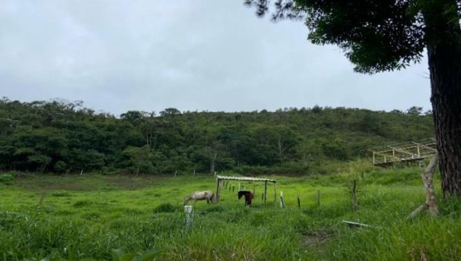 Foto - Terreno - Teresópolis-RJ - Estrada de Santa Rita, s/n - Santa Rita - [2]