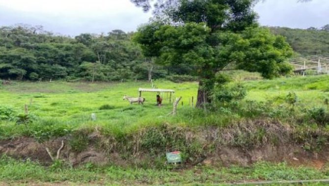 Foto - Terreno - Teresópolis-RJ - Estrada de Santa Rita, s/n - Santa Rita - [1]