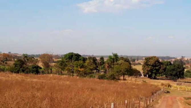 Foto - Área Rural - Urânia-SP - Av. Presidente Kennedy, s/n - Córrego da Porteira - [2]