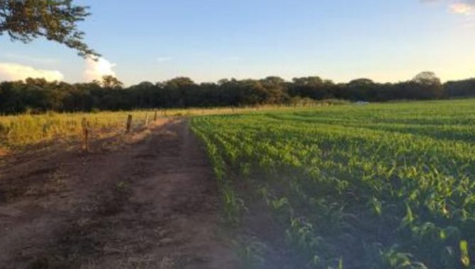 Foto - Área - Alvorada-TO - Fazenda Conquista - Parte do Lote 03 do Loteamento 08-Landy - Zona Rural - [4]