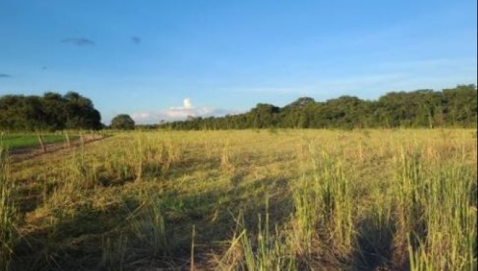 Foto - Área - Alvorada-TO - Fazenda Conquista - Parte do Lote 03 do Loteamento 08-Landy - Zona Rural - [2]