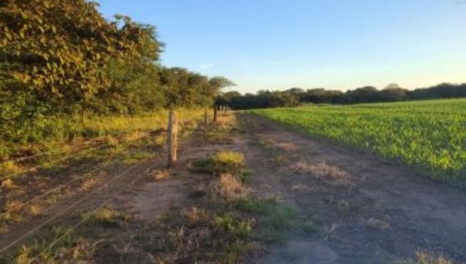 Foto - Área - Alvorada-TO - Fazenda Conquista - Parte do Lote 03 do Loteamento 08-Landy - Zona Rural - [10]