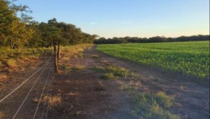 Foto - Área - Alvorada-TO - Fazenda Conquista - Parte do Lote 03 do Loteamento 08-Landy - Zona Rural - [3]