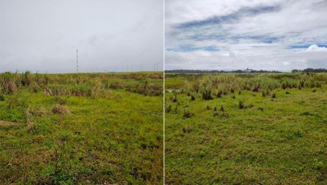 Foto - Excelente Área Urbana com 10 ha - Ipojuca - PE - [5]