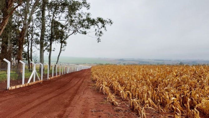 Foto - Imóvel Rural 13 ha (Sítio Santa Terezinha II) - Água Azul - Santa Cruz do Rio Pardo - SP - [3]