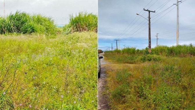 Foto - Excelente Área Urbana com 10 ha - Ipojuca - PE - [5]