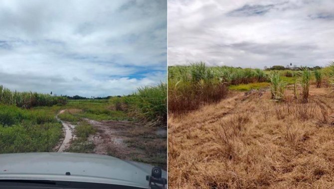 Foto - Excelente Área Urbana com 10 ha - Ipojuca - PE - [6]