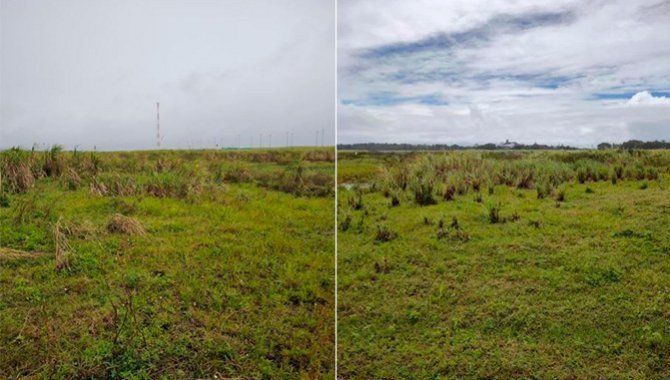 Foto - Excelente Área Urbana com 10 ha - Ipojuca - PE - [3]