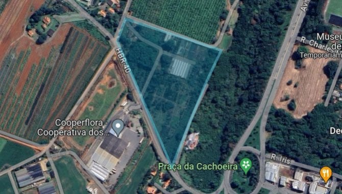 Foto - Direitos sobre Imóvel Rural 48.800 m² - Holambra - SP - [1]