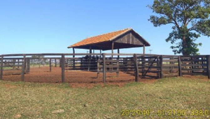 Foto - Imóvel Rural 192 ha - Fazenda Santa Pedrina - Ilha Solteira - SP - [11]