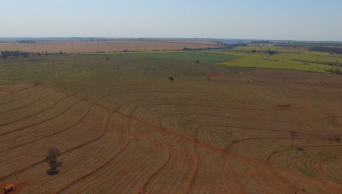 Foto - Imóvel Rural 192 ha - Fazenda Santa Pedrina - Ilha Solteira - SP - [7]