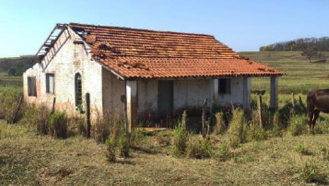 Foto - Imóvel Rural 192 ha - Fazenda Santa Pedrina - Ilha Solteira - SP - [12]