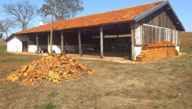 Foto - Imóvel Rural 192 ha - Fazenda Santa Pedrina - Ilha Solteira - SP - [9]