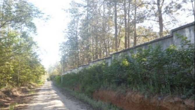 Foto - Haras 432.000 m² - Boituva - SP - [6]