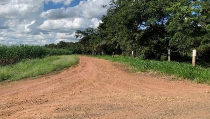 Foto - Área Rural 6 ha (Gleba C) - Água Vermelha - São Carlos - SP - [11]