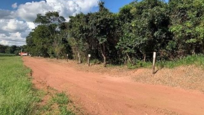 Foto - Área Rural 6 ha (Gleba C) - Água Vermelha - São Carlos - SP - [10]