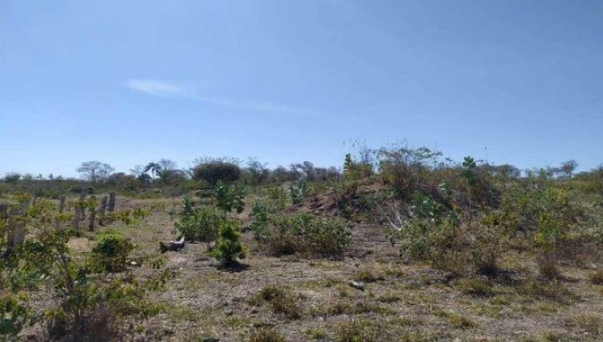 Foto - Área Rural - Santana-BA - Fazenda Boa Esperança - Zona Rural - [1]