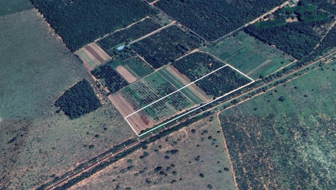 Foto - Imóvel Rural (chácara 75) com 3 ha no Sítio Santa Maria - Próx. ao Aeroporto Santa Maria - Campo Grande - MS - [3]