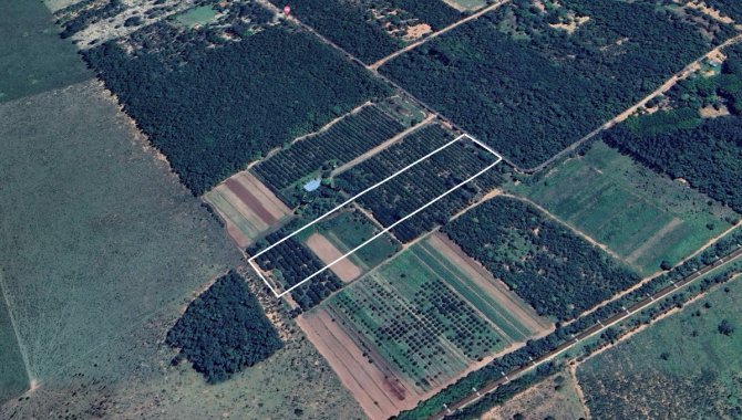 Foto - Imóvel Rural (chácara 78) com 2 ha no Sítio Santa Maria - Próx. ao Aeroporto Santa Maria - Campo Grande - MS - [3]